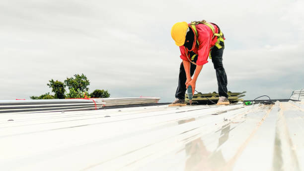 Best Roof Moss and Algae Removal  in Arnold, PA