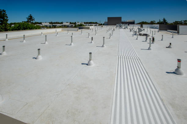 Best Roof Insulation Installation  in Arnold, PA